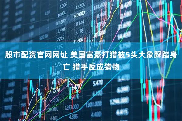 股市配资官网网址 美国富豪打猎被5头大象踩踏身亡 猎手反成猎物